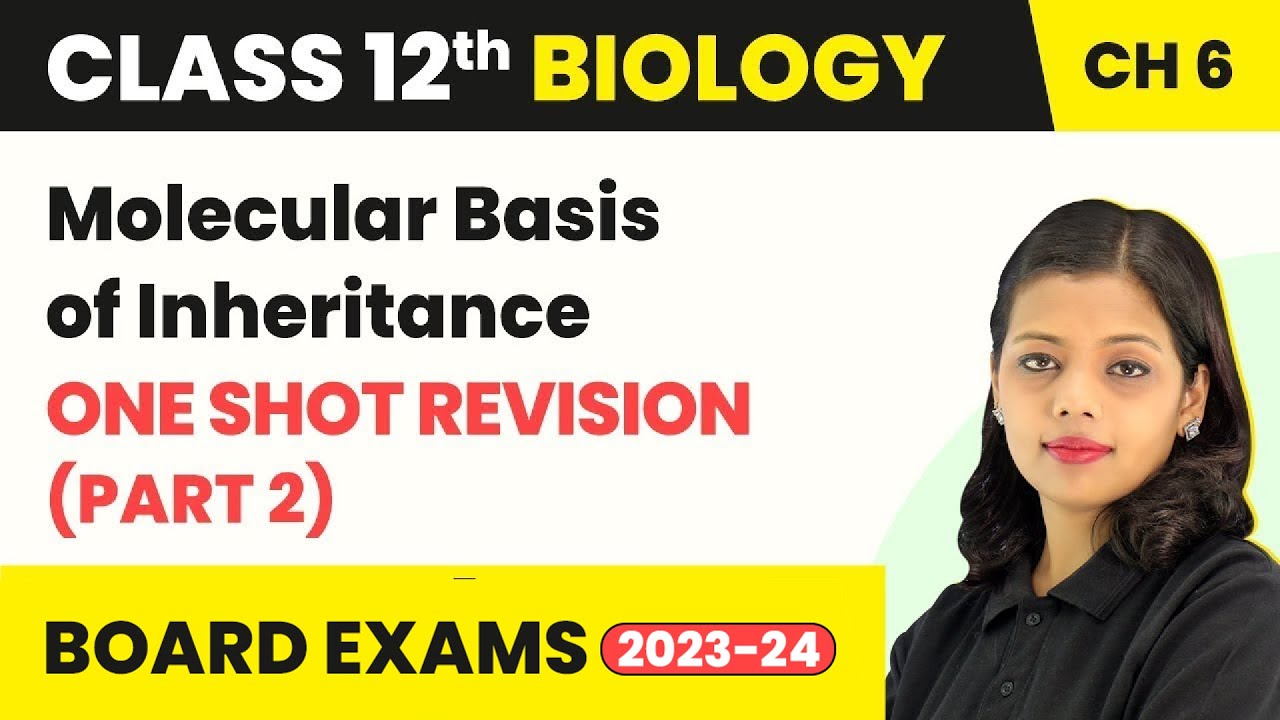 Molecular Basis Of Inheritance -One Shot Revision (Part 2)| Class 12 ...