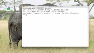 Python3: Importing the Random Module