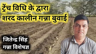 गन्ना बुवाई की ट्रेंच विधि #sugarcane#गन्ना #video#farmingvideos #sugarcanefarming #subscribe #गन्ना