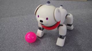 64【S.R】SONY AIBO ソニー アイボ ERS-311B 犬型 ロボット