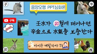 사주83강 : PPT심화론/壬일간의 운용