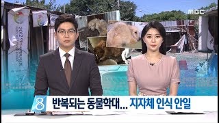 반복되는 동물학대.. 지자체 인식 안일 - R (180704수/뉴스데스크)