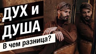 Дух и Душа в чём разница между ними. Сергей Финько