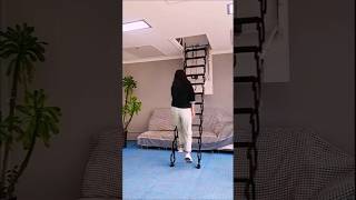 Telescopic Roof Ladder | Attic Ladders #shorts #attic #ladder #homeimprovement #smartliving