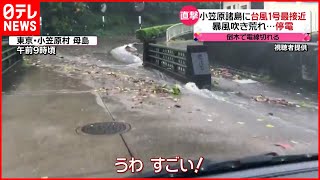 【今日の１日】小笠原諸島に台風１号直撃  東京は“冬”に逆戻り「夏野菜」に被害も…