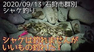 2020/09/13 鮭釣り 石狩市群別 でも釣れたのはハチガラ #71