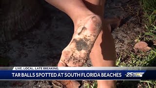 'I thought it was a piece of algae': Lake Worth Beach swimmers report oily tar balls washing ashore