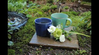 小さな窓の花ごよみ 1364 春の庭 にほひ桜♪「田園」第5楽章よりピアノソロ ♪