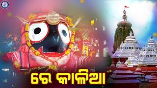 Re Kalia | ରେ କାଳିଆ କେହି ନାହିଁ ଦୁନିଆରେ | ଚନ୍ଦନ କୁମାରଙ୍କ କଣ୍ଠରେ ଶ୍ରୀ ଜଗନ୍ନଥ ଭଜନ | ଓଡ଼ିଆ ଭକ୍ତିସାଗର