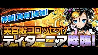 【ディバインゲート】美宮殿コロッセオ［美の精霊王：神級〈再創〉］【オーディン神パーティ】