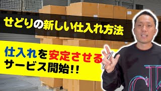 せどり初心者必見！せどりの新しい仕入れ方法【Amacode stock】を利用して、せどり仕入れを安定させる方法