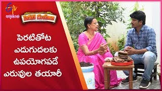 Perati Thota Yedugudalaku Upayoga Pade Yeruvula Tayari | Perati Ruchulu | 8th November 2019