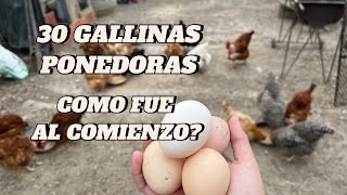 30 GALLINAS PONEDORAS SON RENTABLES?