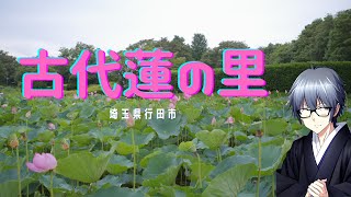 （Vlog群馬　隣県編）2024年6月30日　古代蓮の里