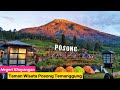 Glamping Di Negeri Khayangan !  - Taman Wisata Posong Temanggung