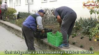 Őszi virágosítás a vásárosnaményi Rákóczi utcán