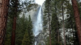 Discover: Yosemite National Park