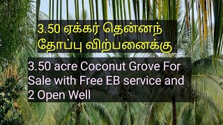 3.50 Acre Coconut Grove For Sale/3.50 ஏக்கர் தென்னந் தோப்பு வற்பனைக்கு