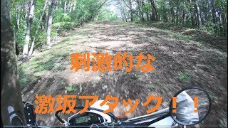 EXTRA林道(激坂に挑戦) WR250Rで行く 山梨林道