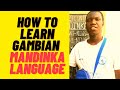 how to count numbers in mandinka from 40 to 50 episode 5