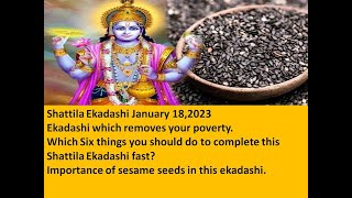 Shattila Ekadashi in English |  Sattila Ekadashi in English on Jan 18,2023