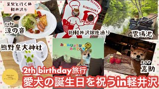 【豆柴と軽井沢④】軽井沢で愛犬の2歳の誕生日を祝う