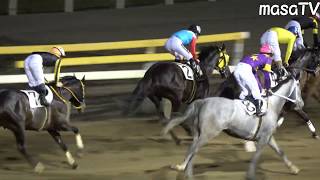 【４Ｋ現地撮影】2020年2月14日船橋競馬8Rエラスムス＆ミカエル・ミシェル騎手6着