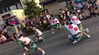 2018大江戸新座祭り 阿波踊り 和樂連 流し踊り