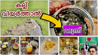 കാശ്മീരിന്റെ മാത്രം സ്വന്തം - എന്നെ അതിശയിപ്പിച്ചത് #kashmir #vlog #dailyvlog #medicine