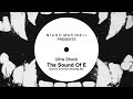 Ultra Shock - The Sound Of E [Donna Summer] Bootleg Mix