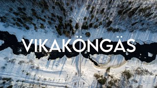 Discover Rovaniemi: Arctic Circle Hiking Area - Vikaköngäs