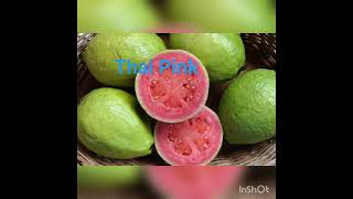 Exotic fruit Plants in Udupi Karnataka