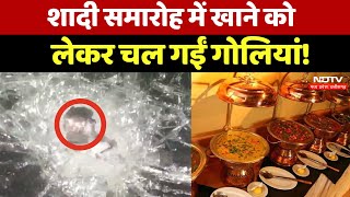 Morena Marriage Viral Video: शादी समारोह में खाने को लेकर बवाल, चल गईं गोलियां! | MP News