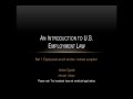 An Introduction to US Employment Law (part 1)