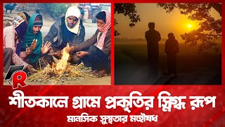 শীতকালে গ্রামে প্রকৃতির স্নিগ্ধ রূপ মানসিক সুস্থতার মহৌষধ । রাইজিং ক্যাম্পাস