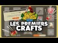 Panoplies Blop Royal pour les Crâ ! (niv.60 à 80) - DOFUS RÉTRO