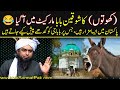 😂Gadho (Donkeys) Wali Sarkar 😂 | Engineer Muhammad Ali Mirza