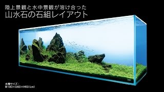 Dragon Stone Iwagumi Aquascape 水草水槽アクアリウム 木化石 石組み レイアウト 60 スリム水槽