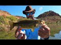 smallmouth bass fishing aggressive smallmouth