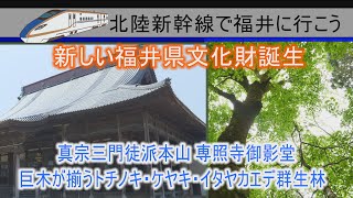 ふくい散策　新しい県文化財を訪ねて