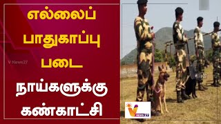 எல்லைப் பாதுகாப்பு படை நாய்களுக்கு கண்காட்சி | BSF | Dog exhibition