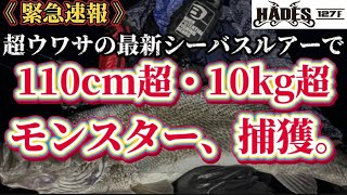 緊急速報【ハーデス127F】でモンスター捕獲