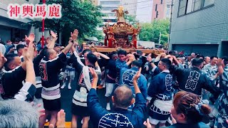 2023.6.11 築地7丁目町会神輿渡御