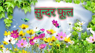 सुन्दर फूल 💐💐 beautiful flower 💐 Inspirational stories on opportunity in hindi