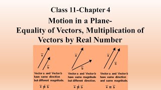 3 Motion in a Plane- Equality of Vectors, Multiplication of Vectors- Class 11-Chapter 4-NEET/JEE