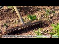 tuto comment butter les pommes de terre jardinerie gamm vert