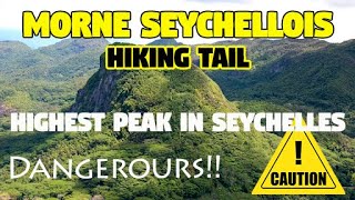 Climbing the highest peak in #Seychelles (2969feet) | Morne seychellois hike | LifeofJodin