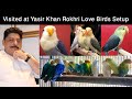 Visited at Yasir Khan Rokhri Expensive Love Birds Breeding Setup in Lahore Pakistan 2020