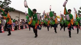 江別まっことえぇ＆北海道情報大学　かみす舞っちゃげ祭り 2016 パレード演舞