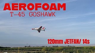 AeroFoam T-45 Goshawk with 110mm JetFan/780kv on 14s 22lbs. Of thrust